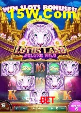 Experiência VIP 533Bet